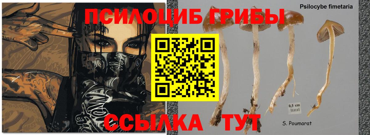 Псилоцибиновые грибы MAGIC MUSHROOMS  Вход с VPN  Магадан 